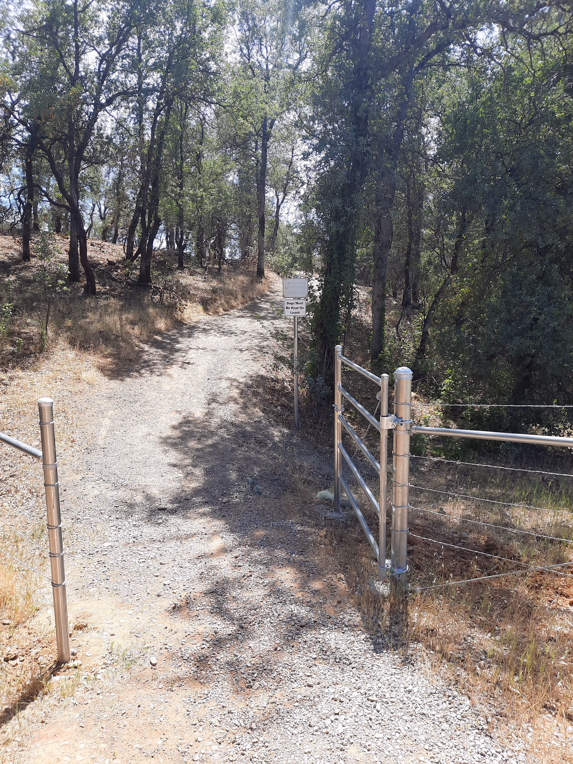 Gravel path through trees with a metal gate and fence on the right.
