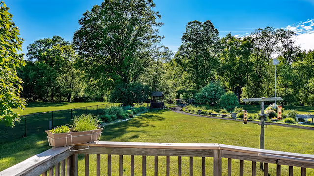 View from a wooden deck overlooking a sunny green backyard with a planter on the railing, lawn, garden beds, trees, and bird feeders.