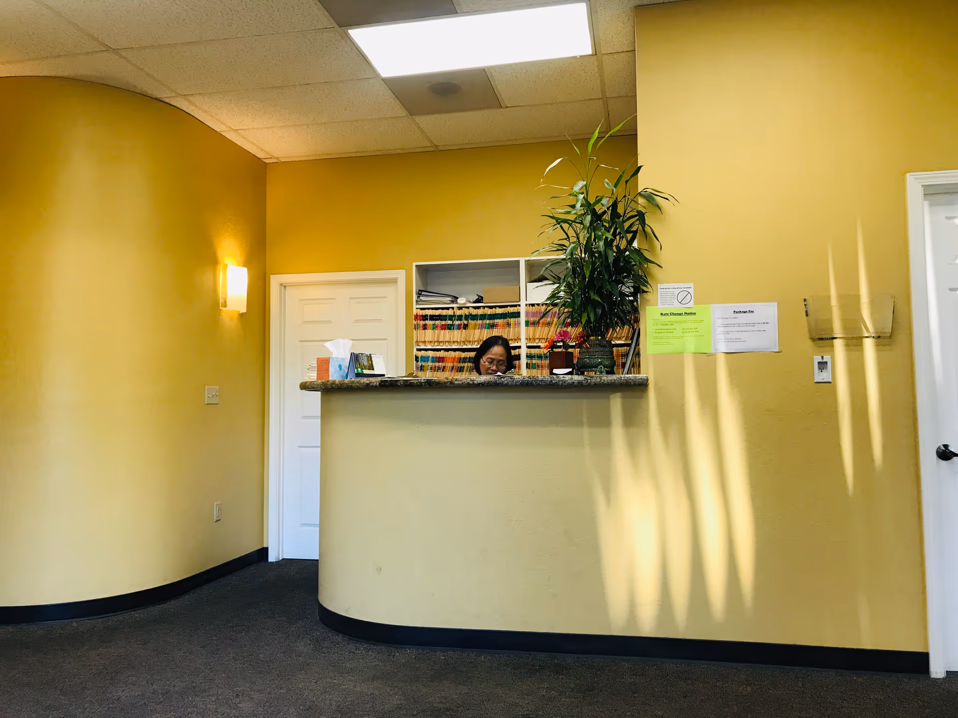 Reception desk in a yellow-walled interior with a receptionist, plant, and files.