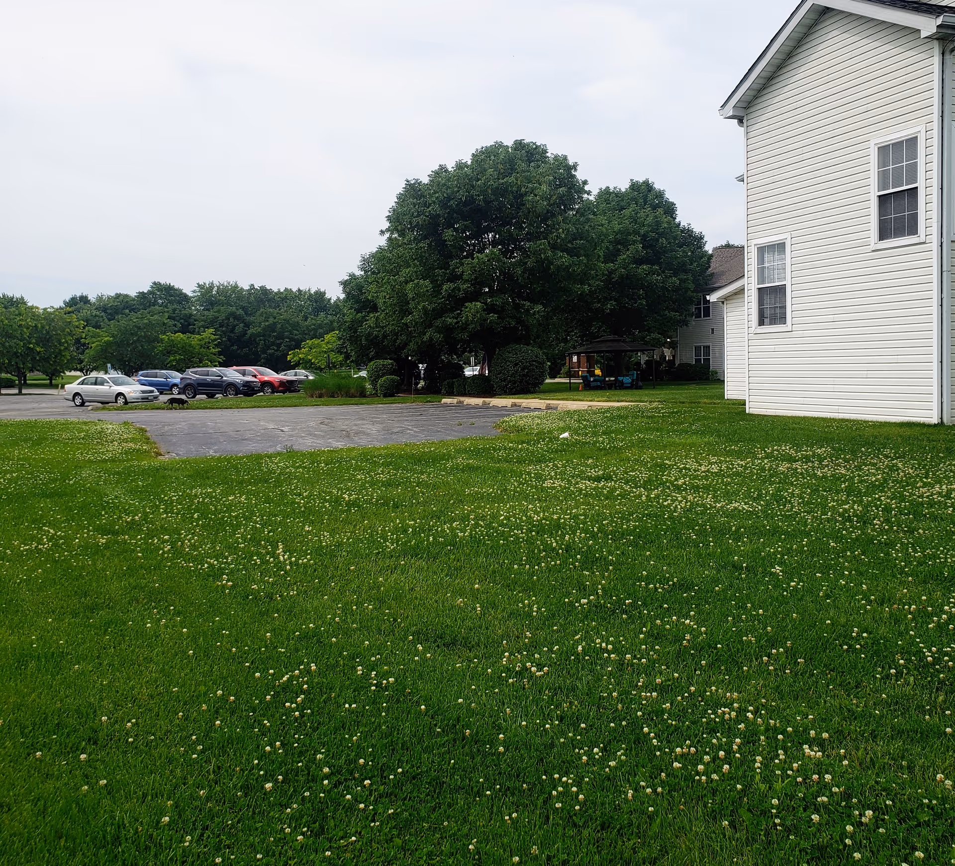 Exterior view of The Pointe at Jacksonville with white building, green lawn, and parked cars