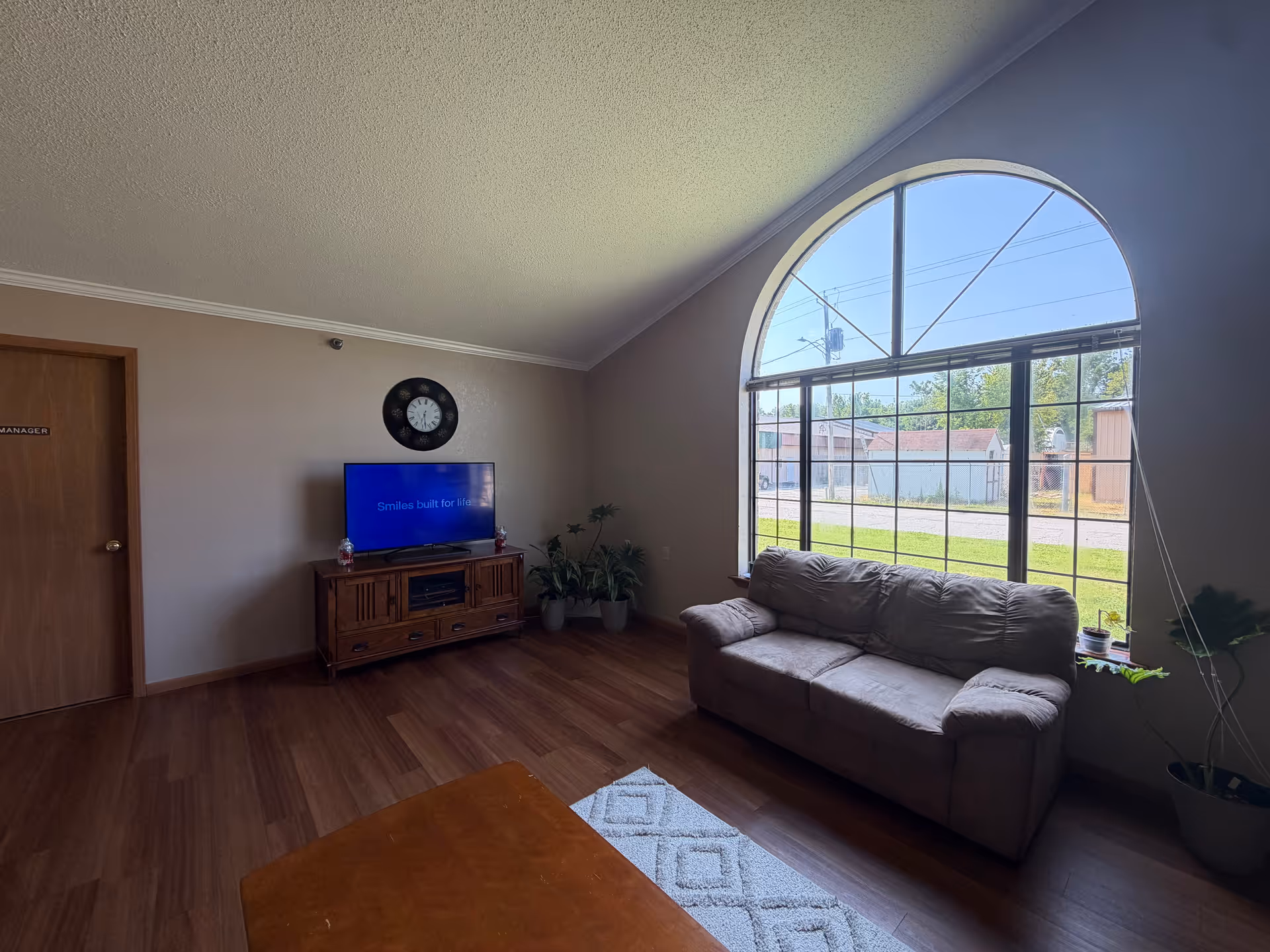 Cozy living room with arched window, sofa, TV stand, and potted plants.