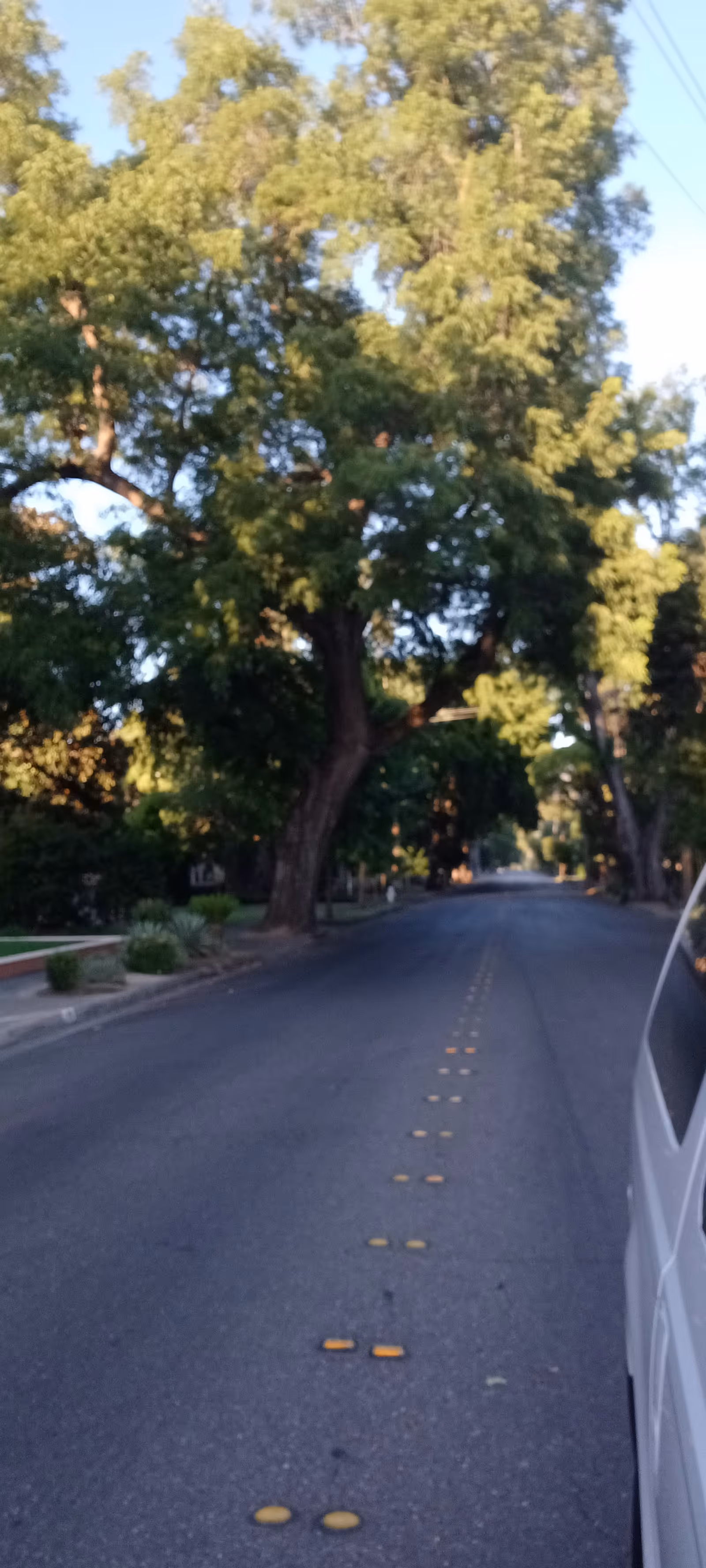 Tree-lined residential street with a parked vehicle on the right and road markers.