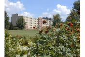 Exterior view of Kingwood Rehabilitation & Healthcare Center with sunflowers in foreground.