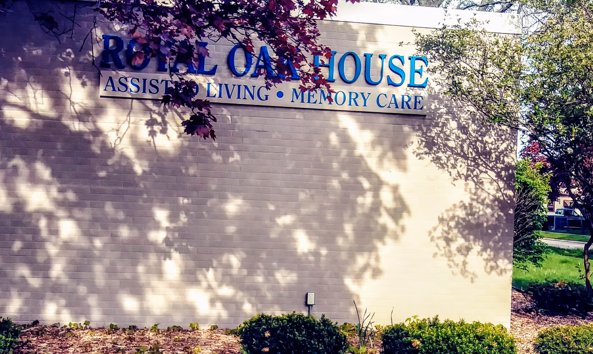 Exterior wall of Royal Oak House with sign and shadowed shrubs.