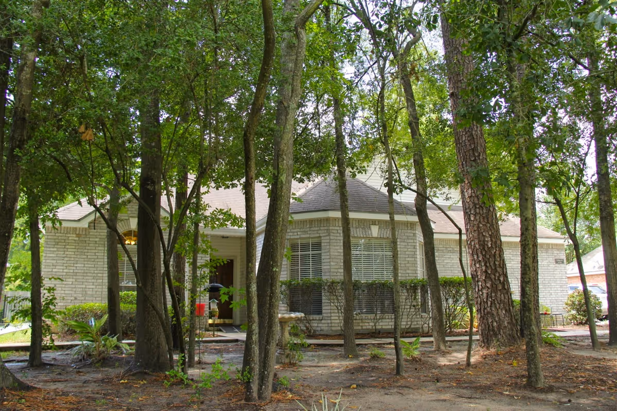 A single-story brick cottage partially obscured by tall trees and greenery in the foreground, with a visible front door and windows with white blinds.