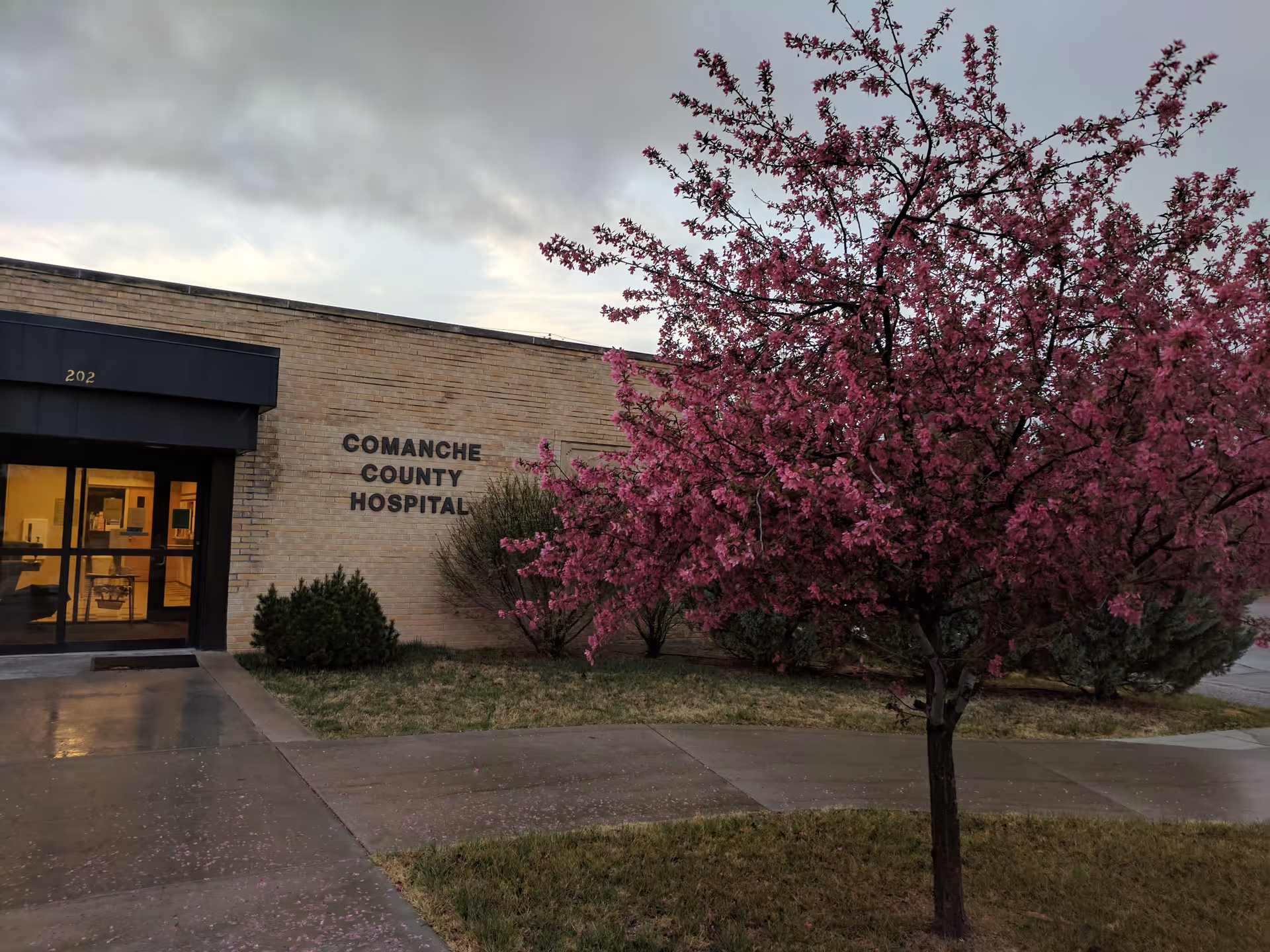 Exterior view of Comanche County Hospital with a pink blossoming tree in front.