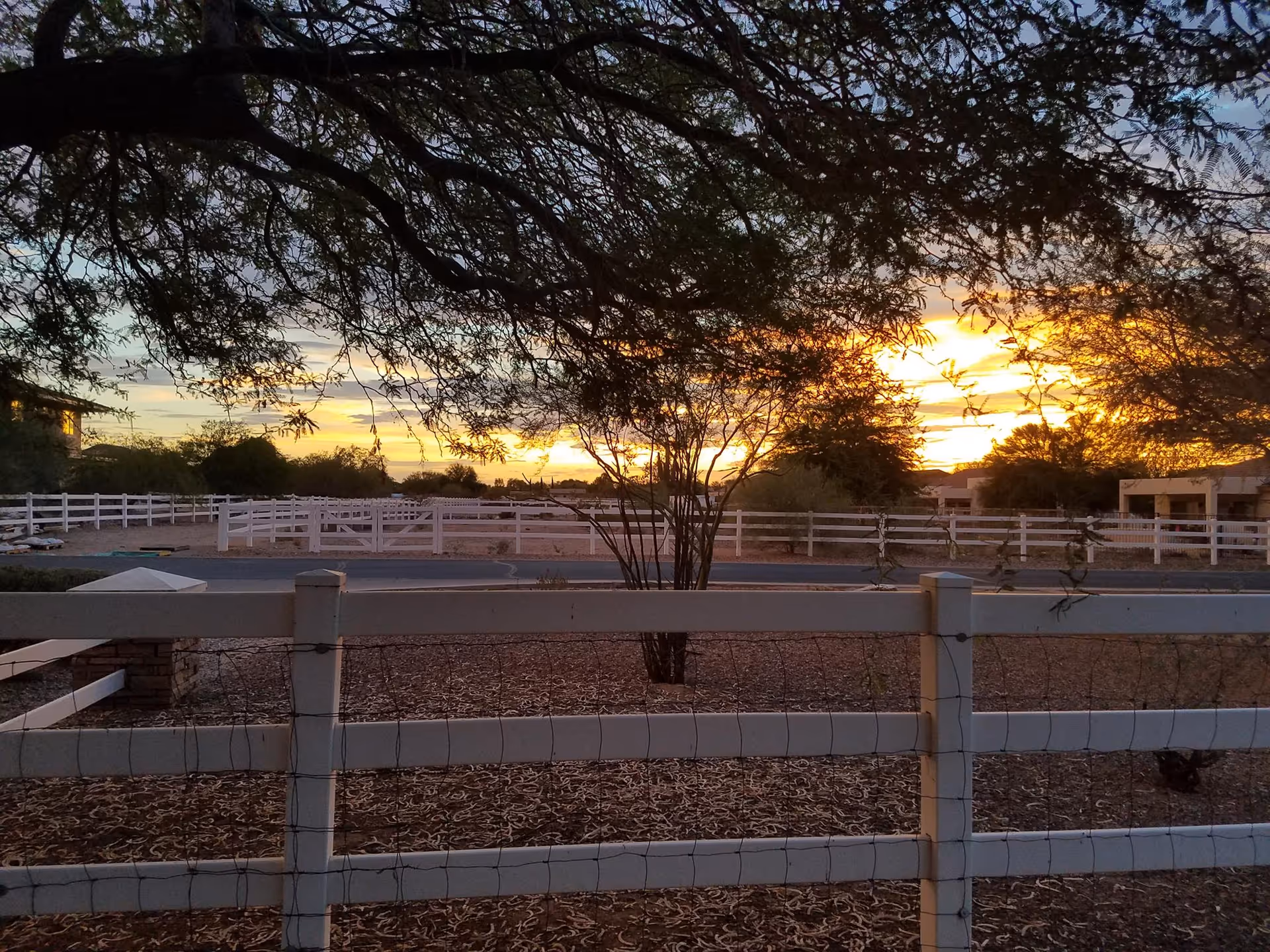 Sunset view over a fenced outdoor yard with trees at a senior living facility.