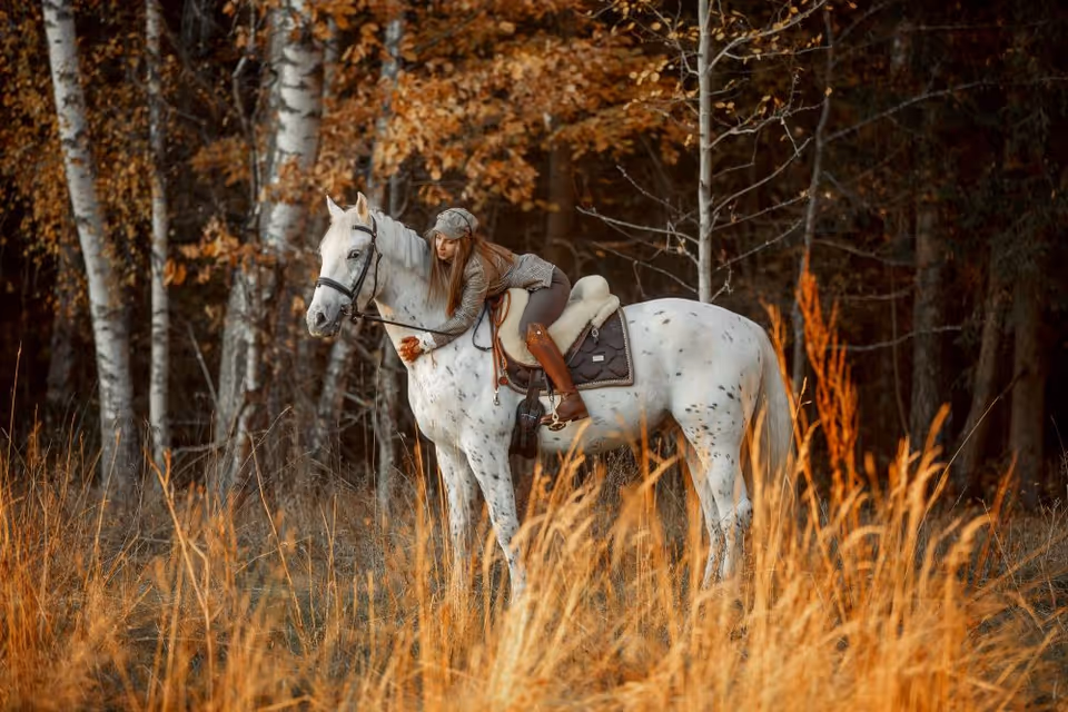 A rider on a white-speckled horse stands among tall autumn grasses in a forest.