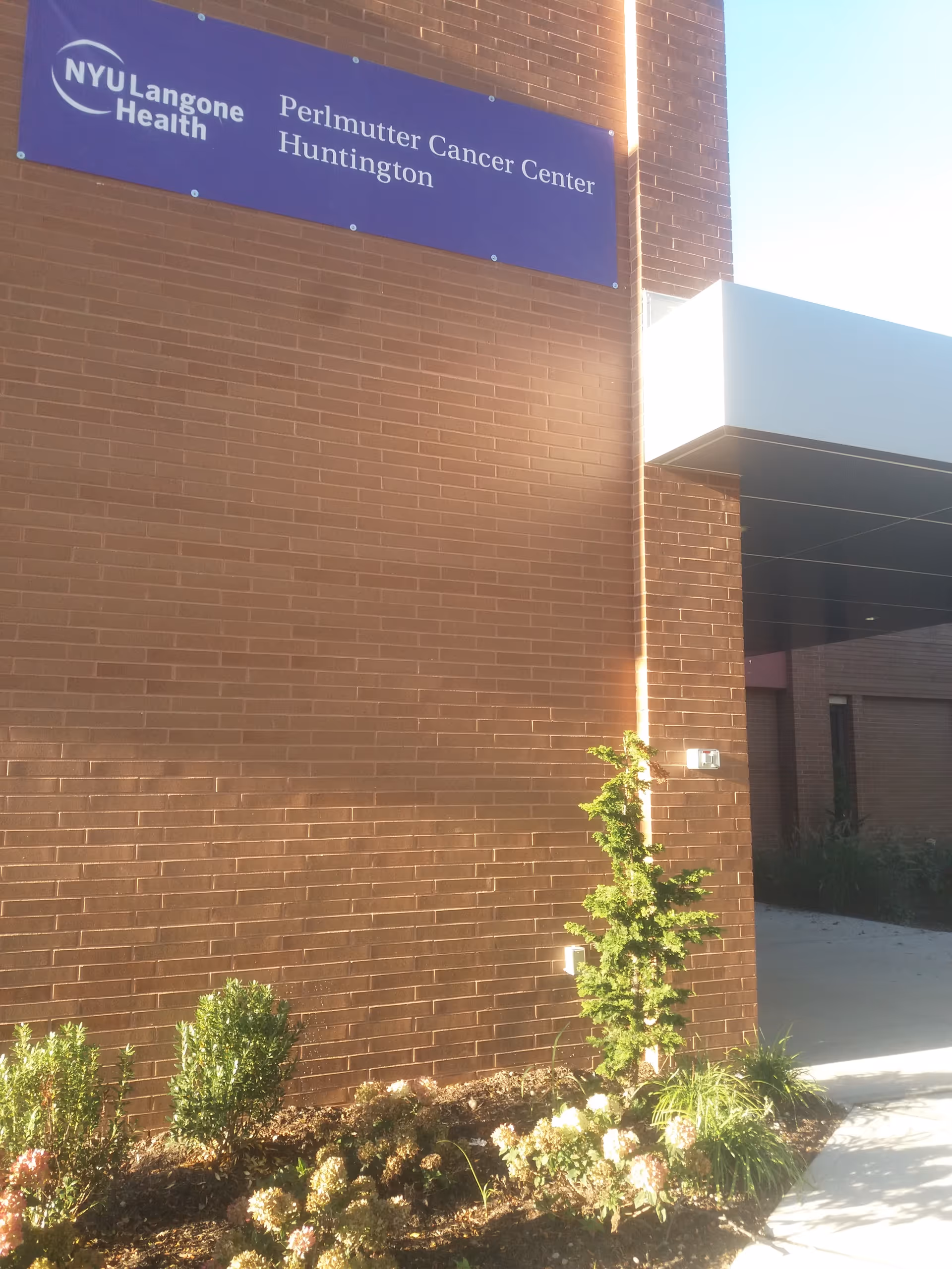 Exterior brick wall with NYU Langone Perlmutter Cancer Center Huntington sign and landscaping.