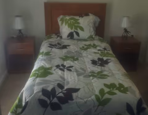 A single bed with a leaf-pattern quilt, headboard, and two nightstands with lamps.