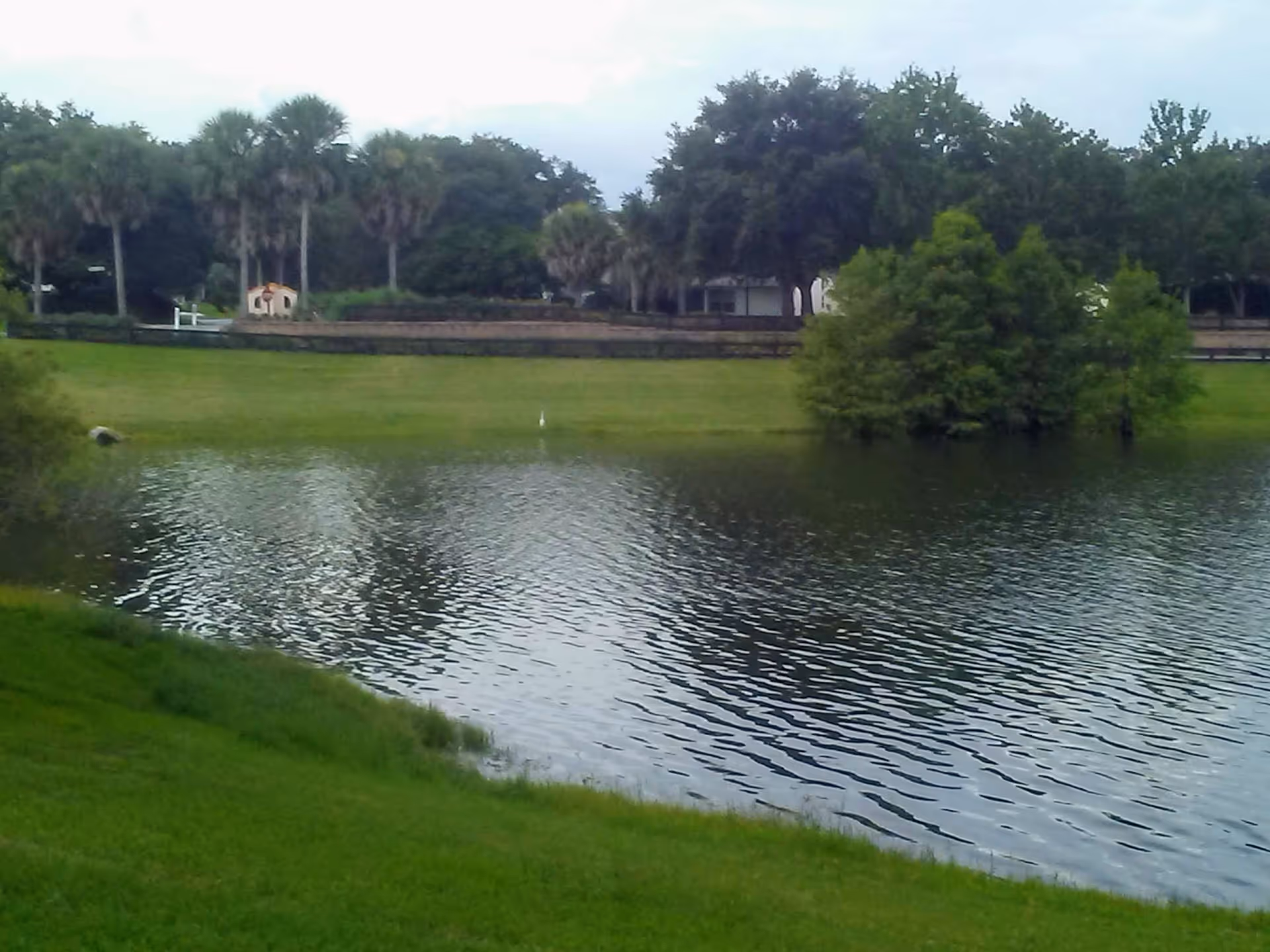 A tranquil pond with grassy banks and trees surrounding a distant building.