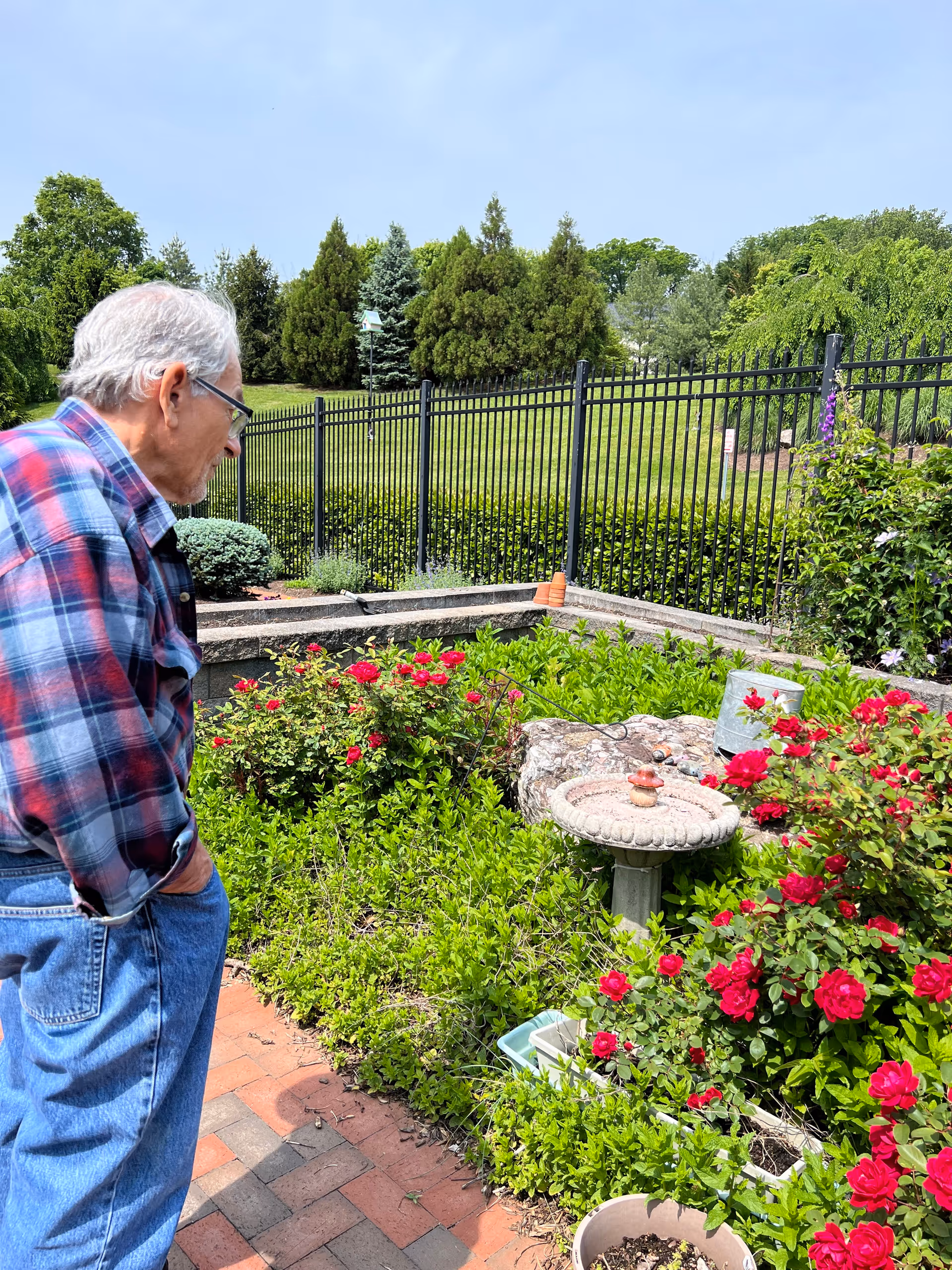 Elderly man stands in a flower-filled garden beside a birdbath outdoors.