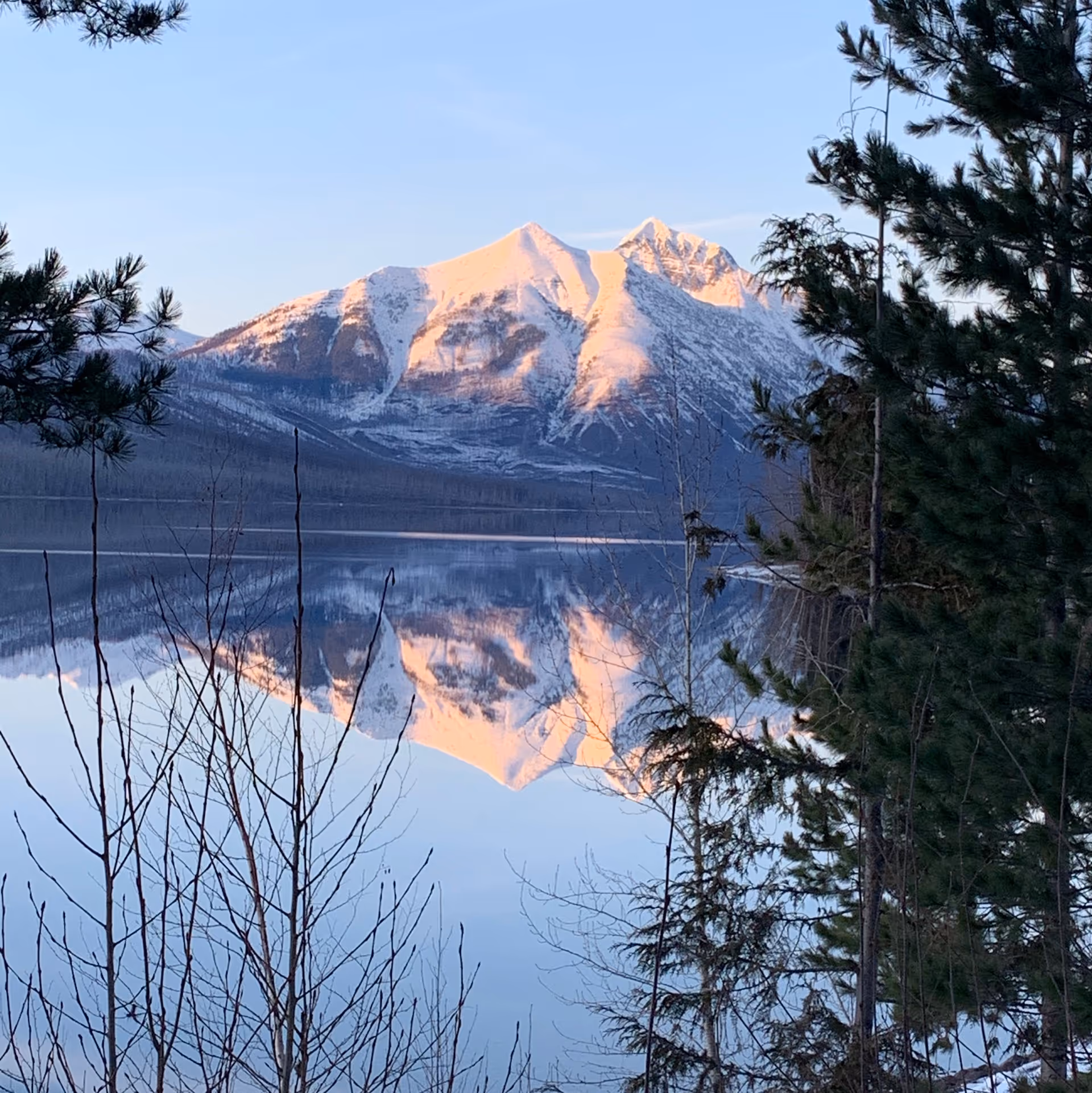 Snow-covered mountains reflected in a calm lake framed by evergreen trees.