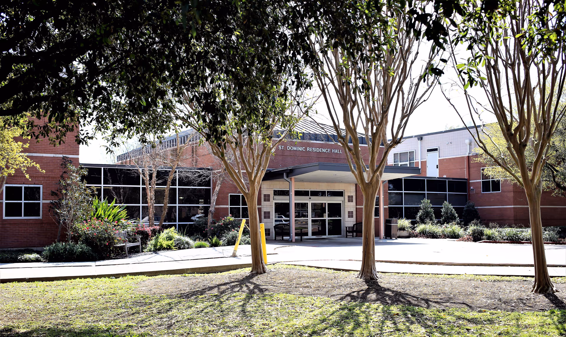 Exterior view of St. Dominic Residence Hall, a brick building with large windows and a covered entrance. The foreground features a grassy area with several leafless trees casting shadows, and there are bushes and plants along the building's perimeter.