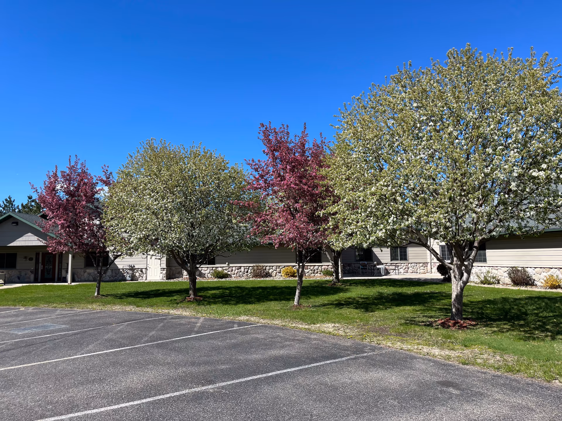 Exterior view of Nordic Woods Assisted Living with blooming trees and a parking lot.