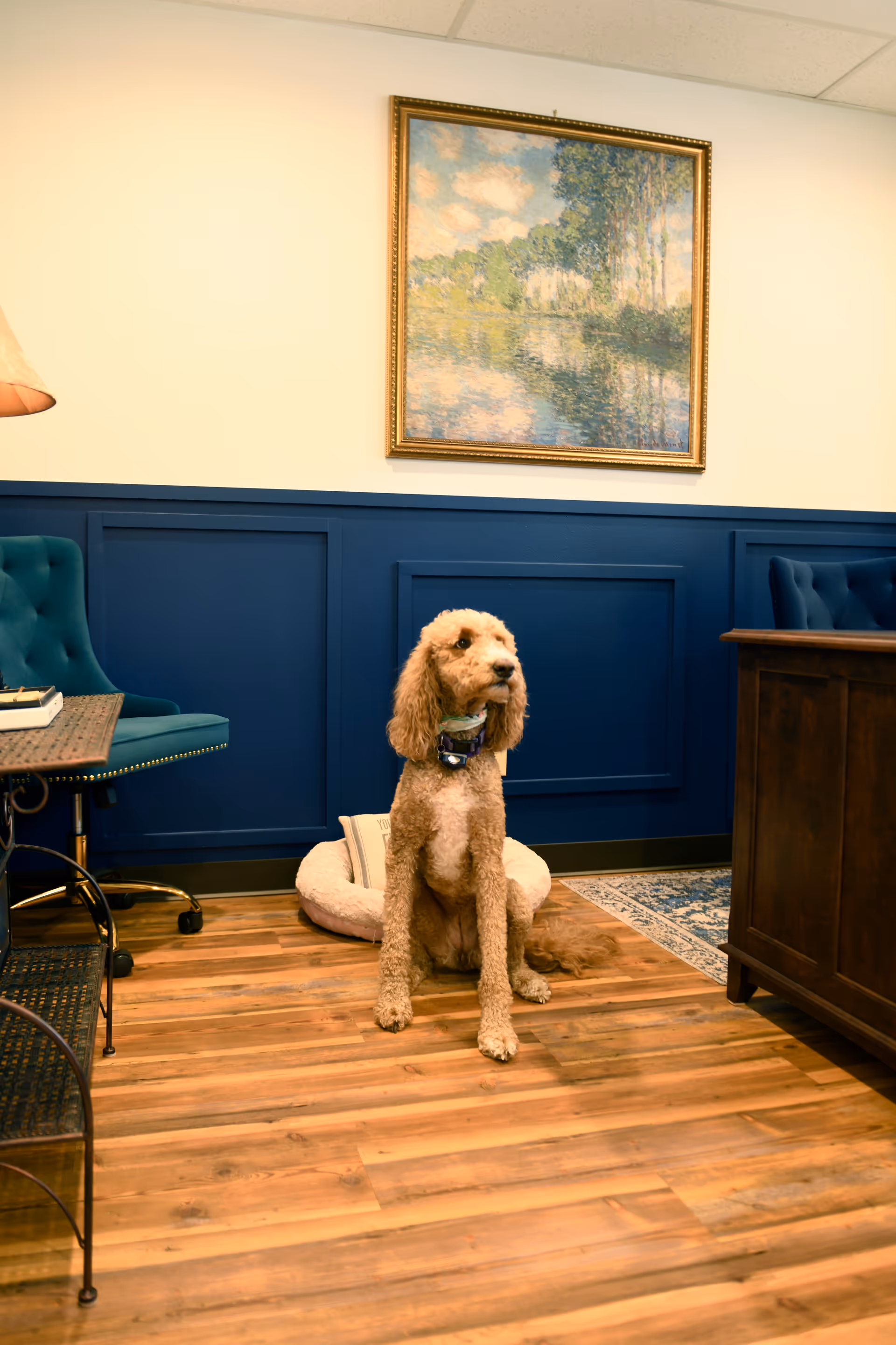 A dog sits on a round bed in a blue-wainscoted lobby with furniture and a painting.