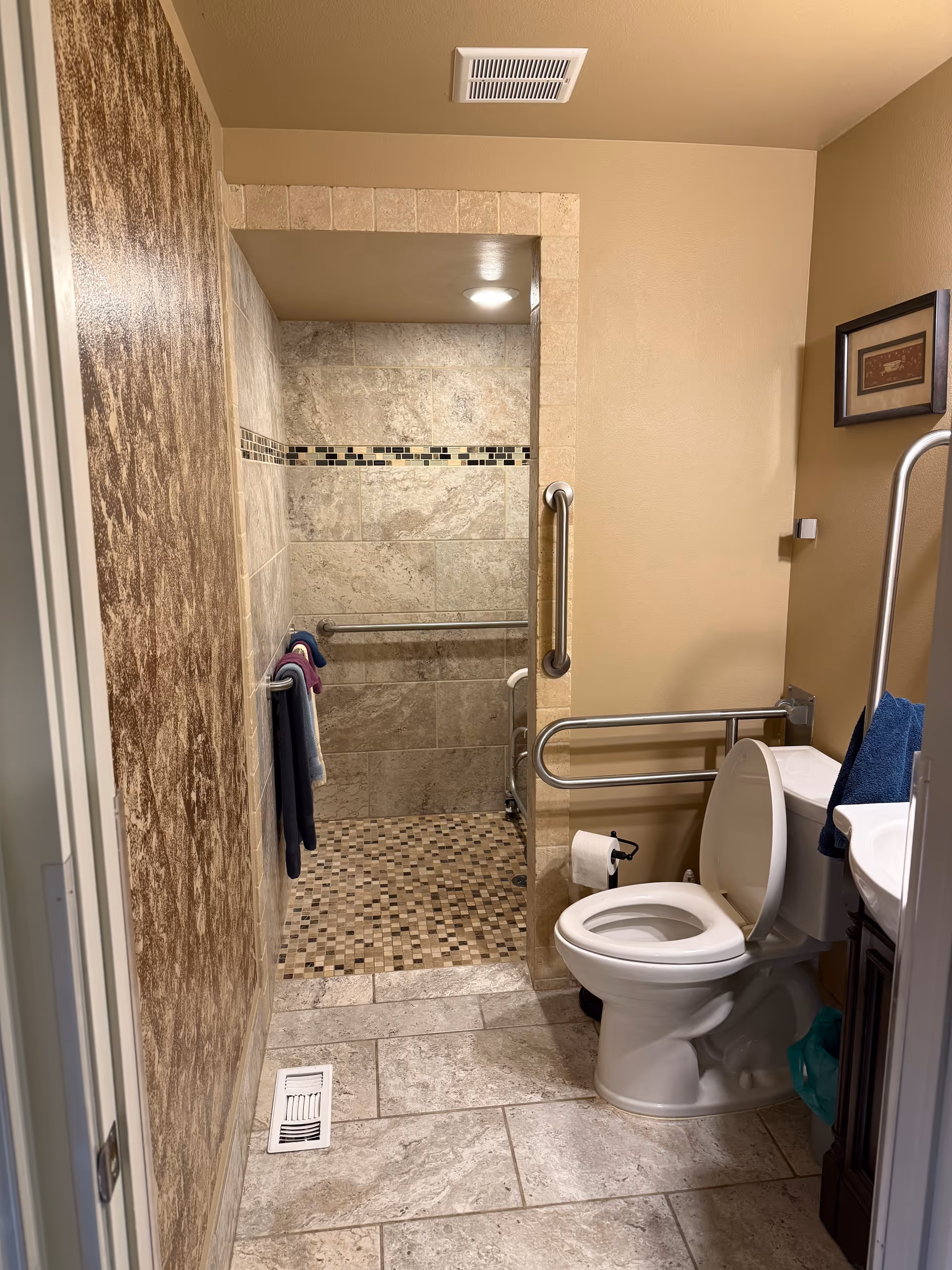 Accessible bathroom with toilet, grab bars, and a tiled walk-in shower.