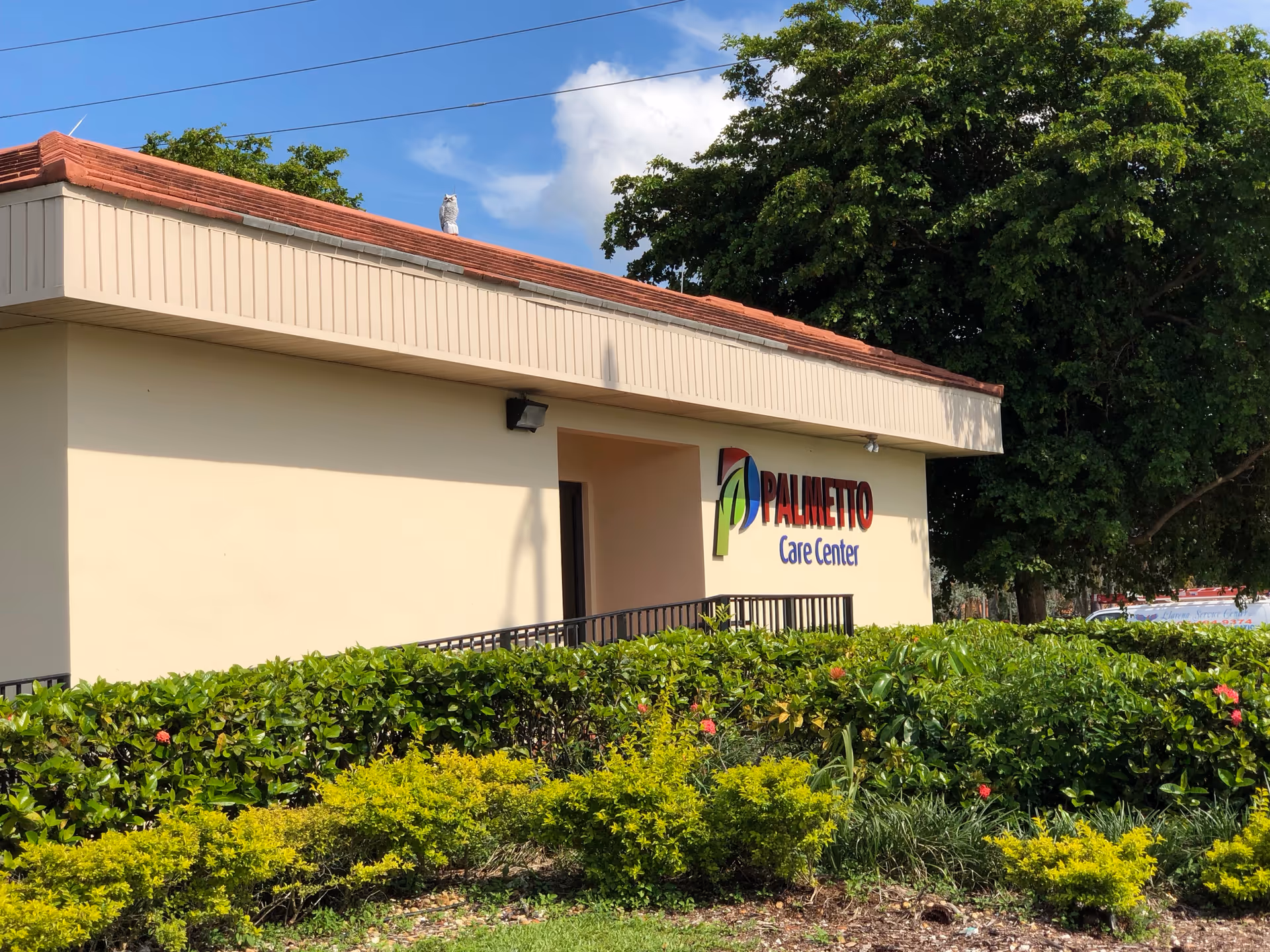 Exterior view of Palmetto Care Center building with sign and lush landscaping.