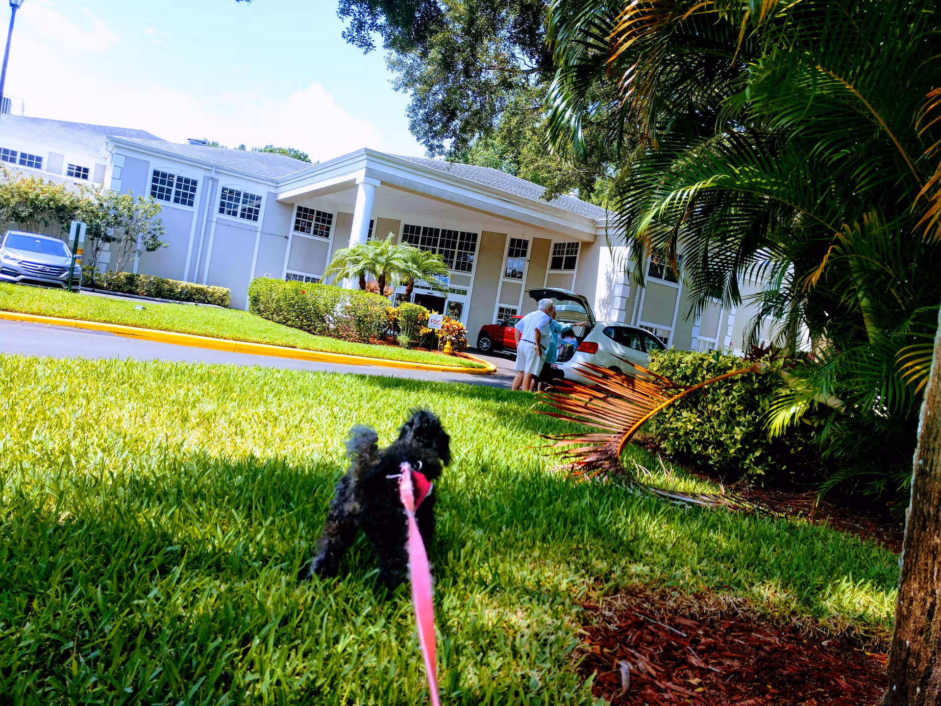 Exterior view of The Gables of Palm Harbor with a grassy lawn and people near cars.