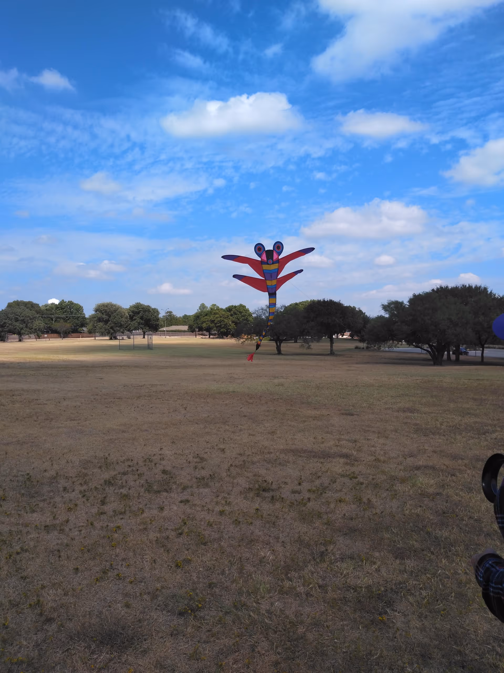 Open grassy field with scattered trees and a colorful dragon-shaped sculpture against a blue sky.