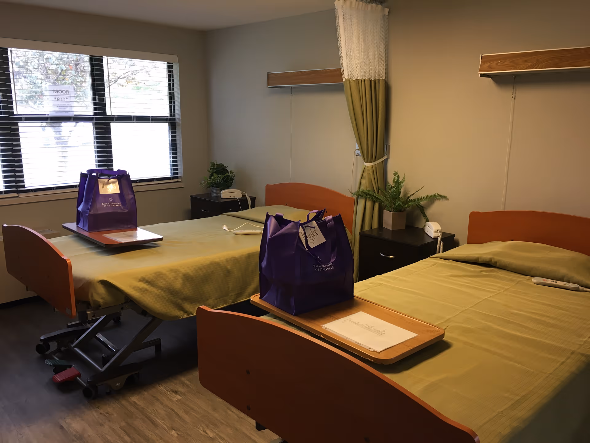 Two hospital-style beds in a shared patient room with nightstands and plants.