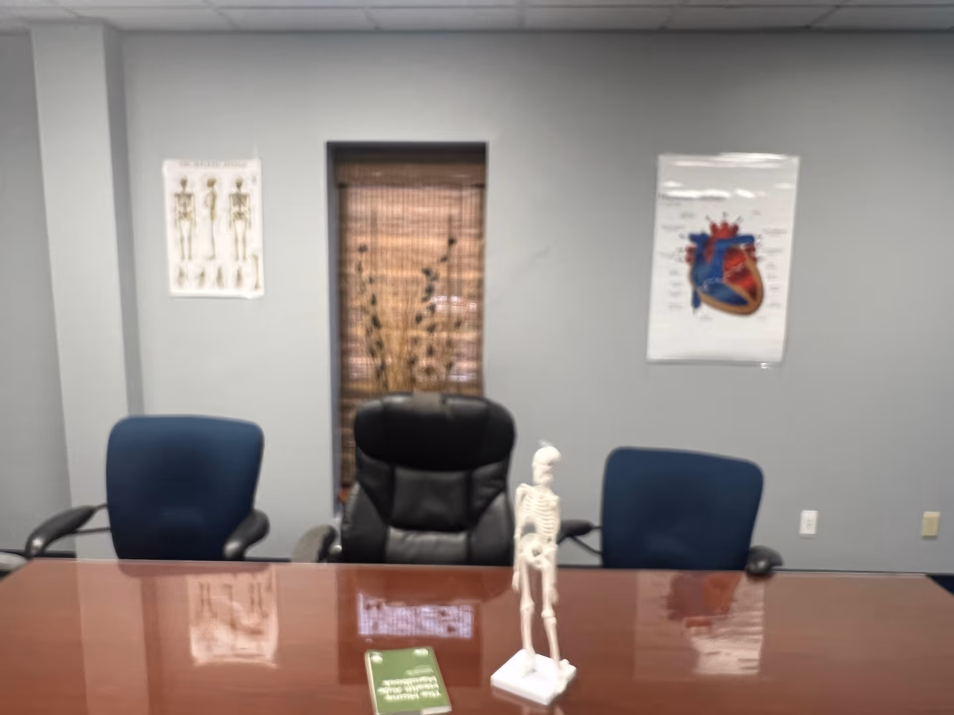Interior office conference area with a desk, blue chairs, skeleton model, and medical posters.