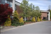 Exterior view of River Glen Health Care Center with landscaped trees along the driveway.