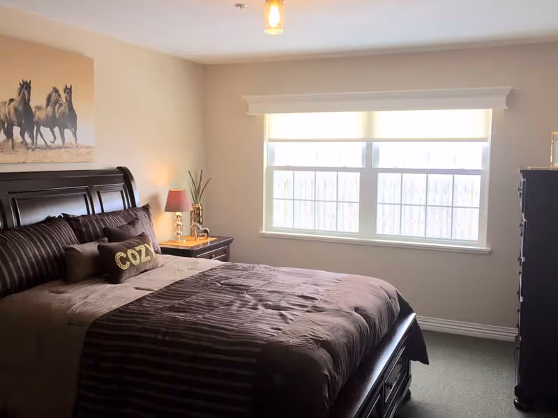 A cozy bedroom with a large dark wooden bed featuring striped brown bedding and a decorative pillow with the word 'COZY'. There is a nightstand with a lamp and a small plant next to the bed. A large window with blinds lets in natural light, and a dresser is visible on the right side of the room. A painting of running horses hangs on the wall above the bed.