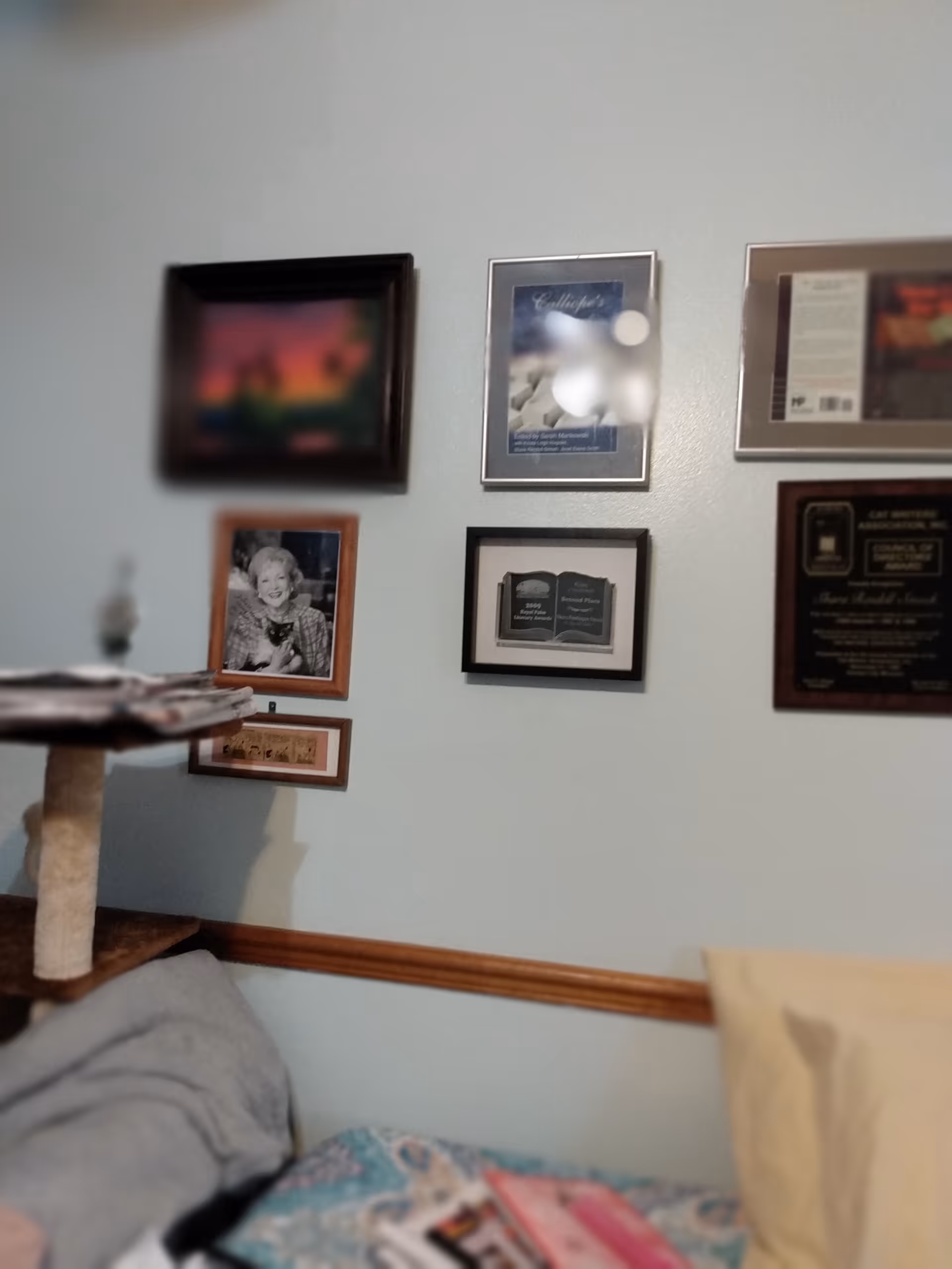 Wall with framed photos above a bed in a cozy blue-painted room.
