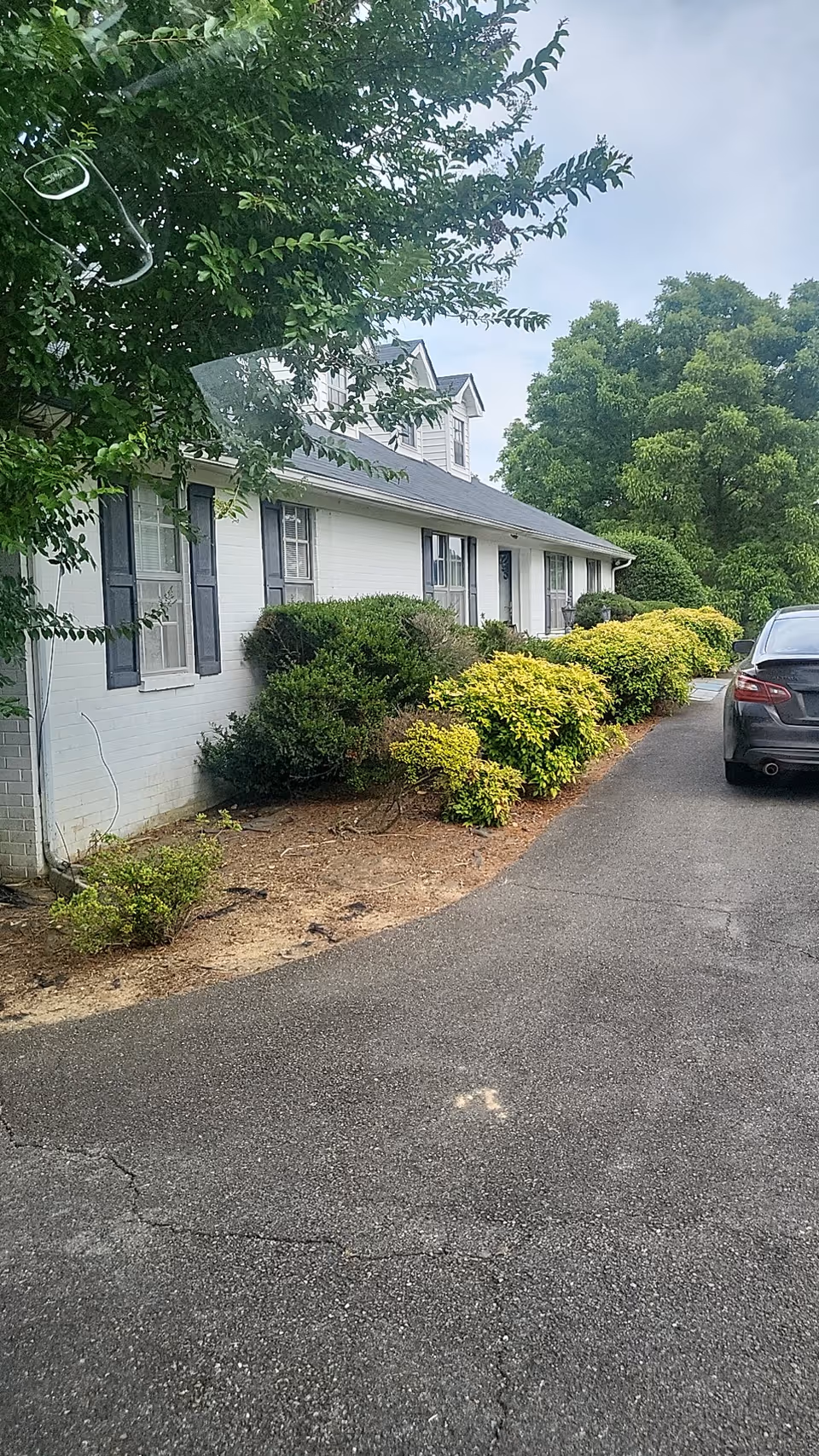 Exterior view of Willow Acres senior living facility with shrubs and a parked car.