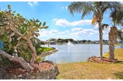 Lakeside scene with palm trees and a calm body of water under a blue sky.