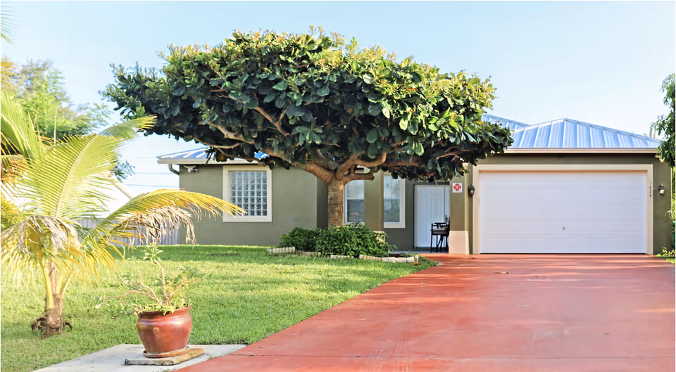 Front view of a single-story facility with a red driveway, large tree, and garage.