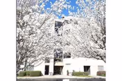 Covenant Towers building framed by blooming trees in front of the entrance.