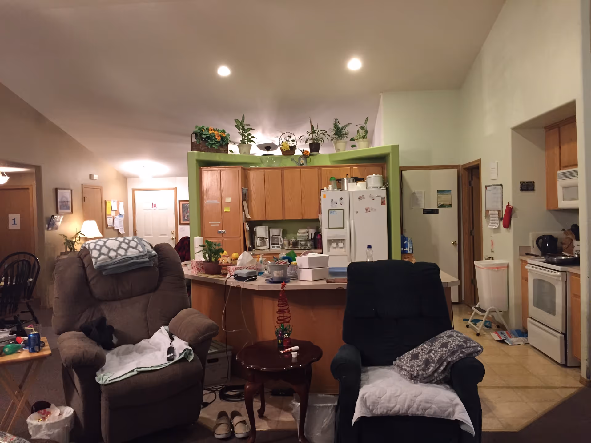 Open living area with two recliners, kitchen island, and potted plants.