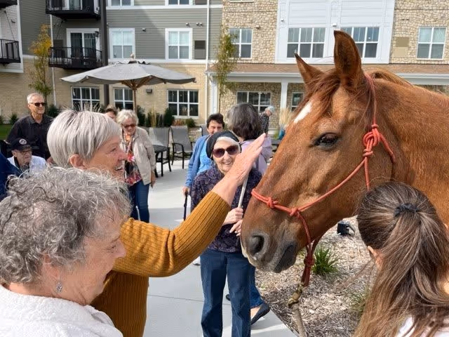 A group of elderly people outdoors at a senior living facility, interacting with a brown horse. One woman is reaching out to pet the horse while others look on and smile. The background shows a multi-story building with balconies and large windows, along with patio umbrellas and outdoor seating.
