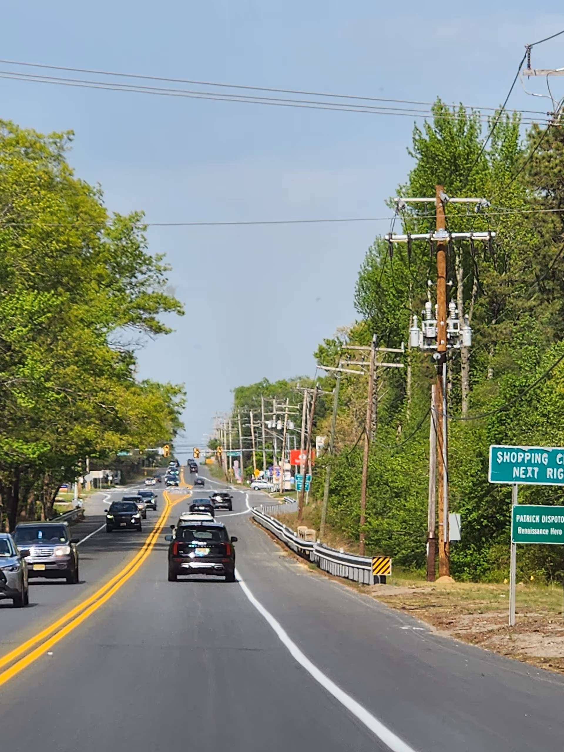 Outdoors view of a tree-lined street with utility poles, traffic, and street signs.