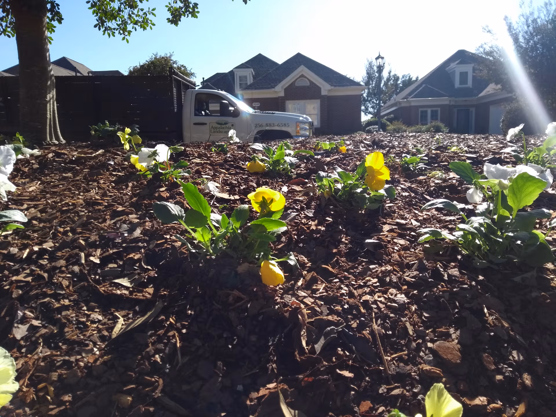 Front exterior of Brookdale Jones Farm with landscaped mulch bed and a truck.