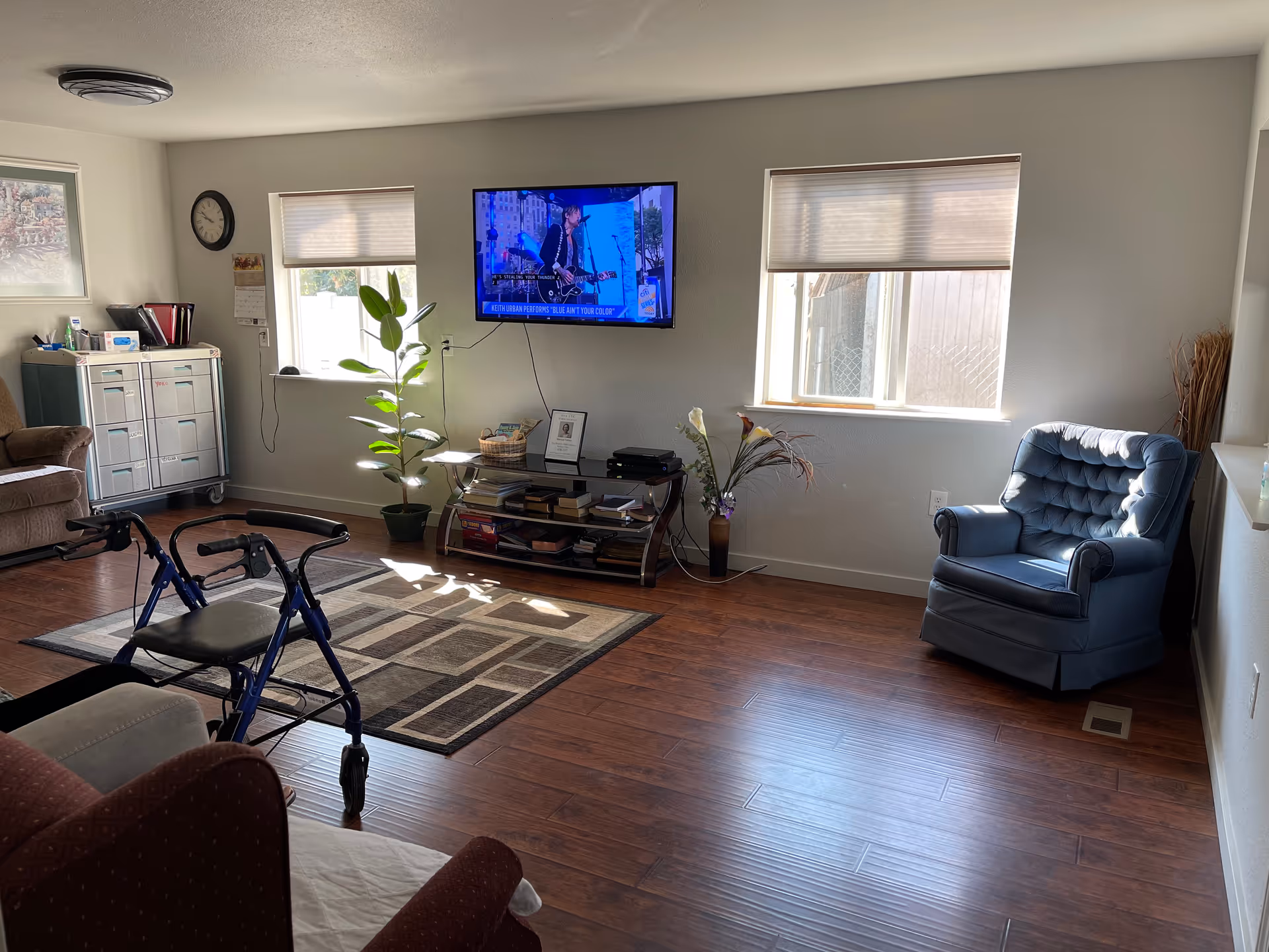 Bright living room with TV, walker, plants, recliner, and two windows in a senior home.
