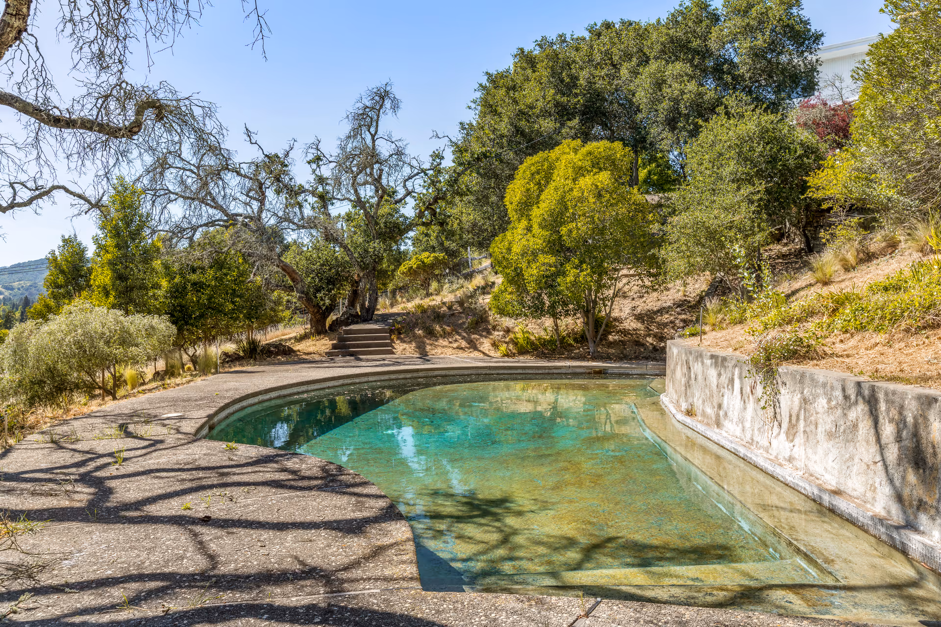 Outdoor scene showing a small, clear swimming pool surrounded by a concrete deck and various green trees and shrubs on a sunny day with a clear blue sky.