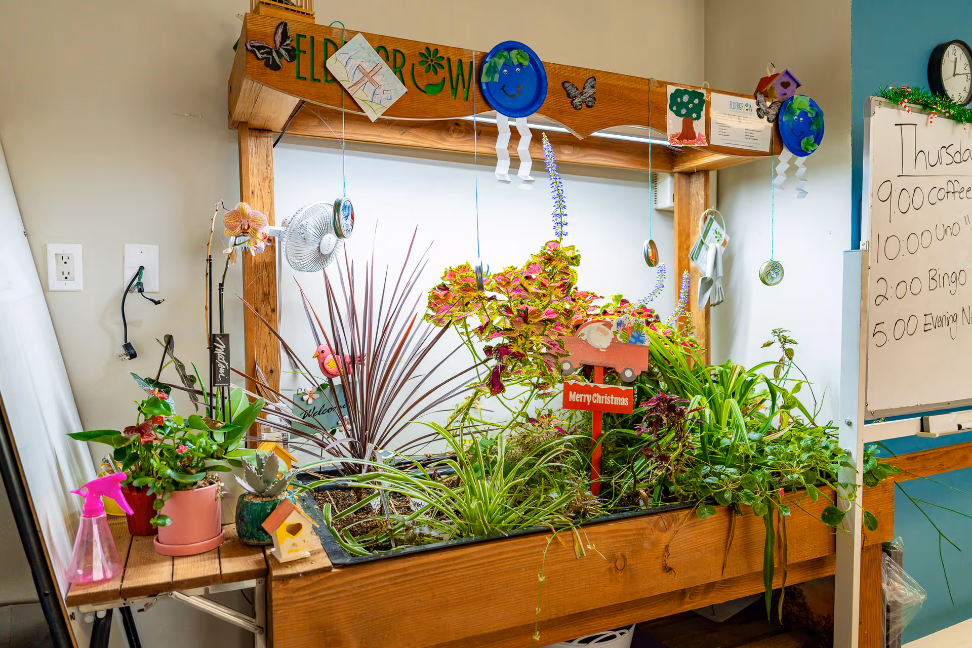 Indoor gardening station with various green plants and flowers in a wooden planter labeled 'Elder Grow'. The planter has hanging decorations including drawings and paper crafts. To the right, a whiteboard displays a schedule with activities such as coffee at 9:00, Uno at 10:00, Bingo at 2:00, and Evening News at 5:00. The setting appears to be a bright room with light blue and beige walls.
