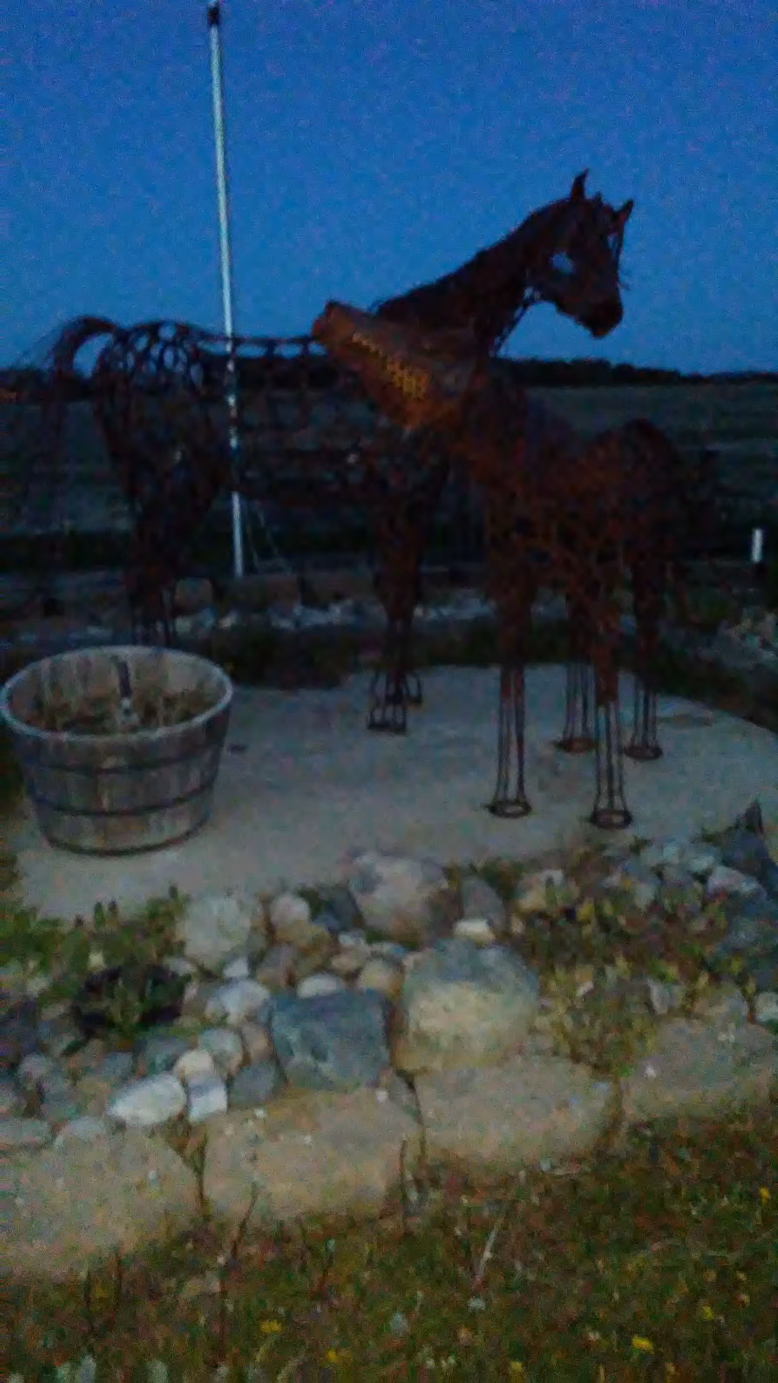 Evening outdoor scene with a metal horse sculpture beside a potted plant.