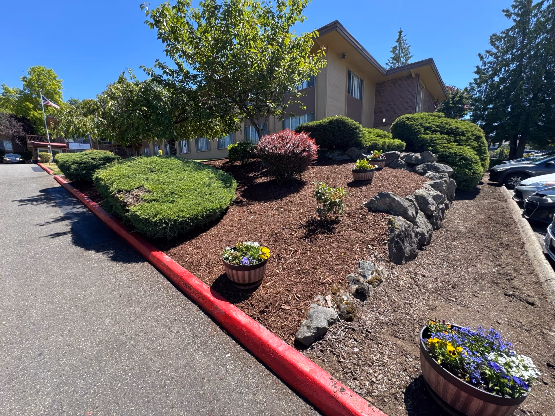 Landscaped front of a building with mulch beds, shrubs, potted flowers, rocks, and a red-painted curb.