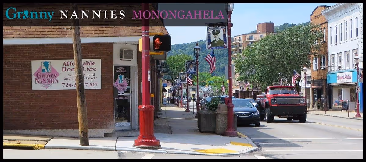 Street view of a small-town main street with Granny NANNIES storefronts and parked cars.