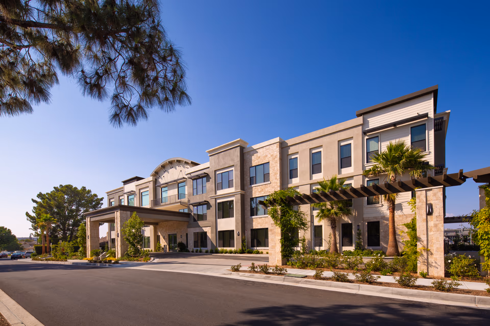 Exterior view of a modern senior living facility with palm trees against a clear blue sky.