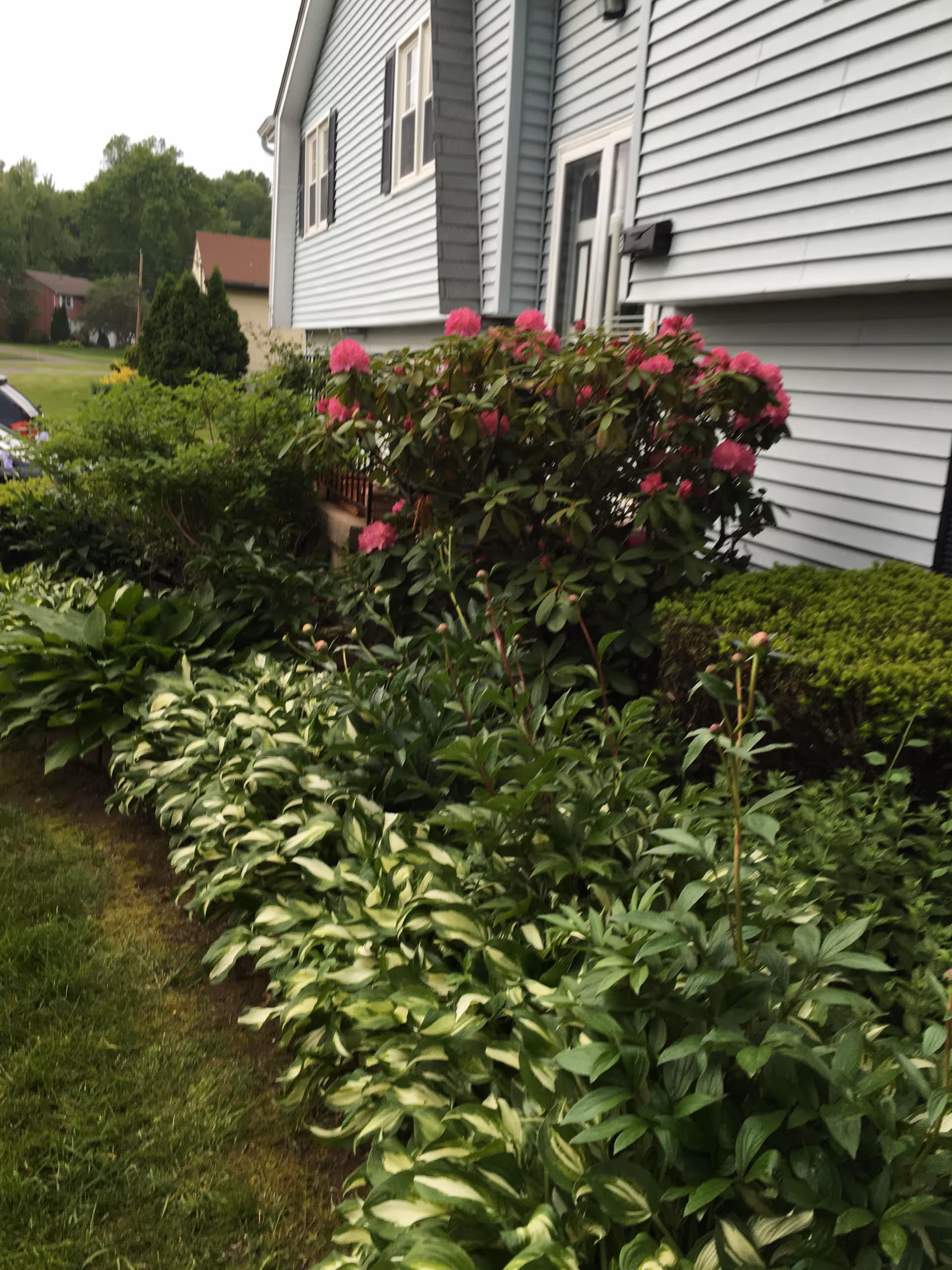 Exterior view of a light blue senior living building with flowering shrubs.