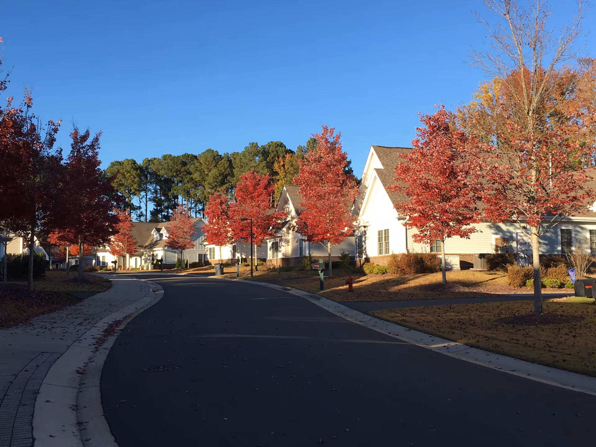 Row of light-colored senior cottages along a tree-lined street with autumn red trees.