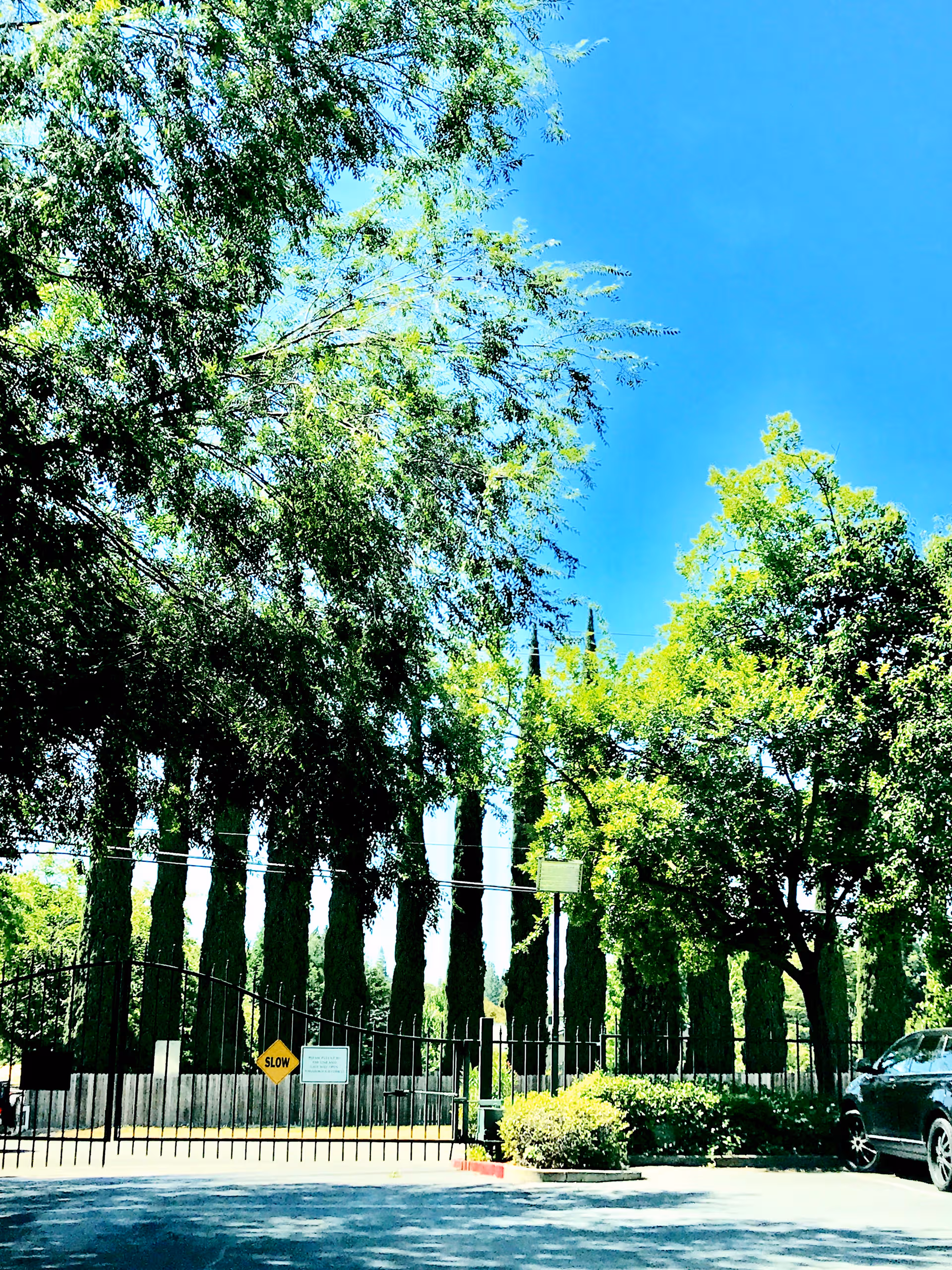 Gated facility entrance with tall trees, blue sky, and a parked car.