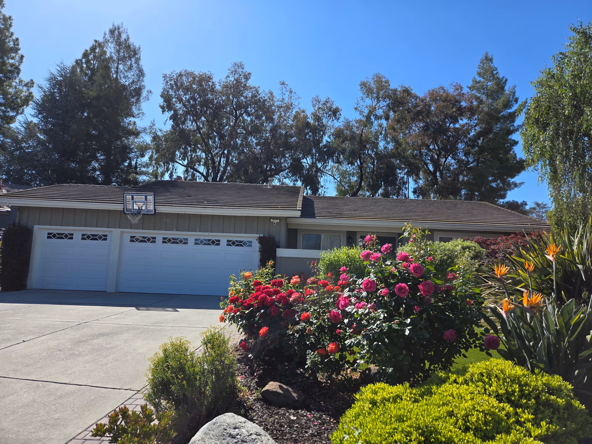 Front exterior of a single-story building with a three-car garage and vibrant flower landscaping.