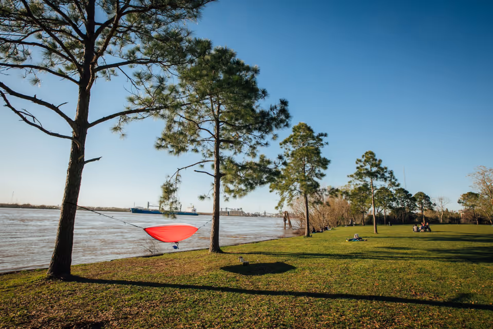 Sunlit riverfront park with trees, grass, and people relaxing along the shore.