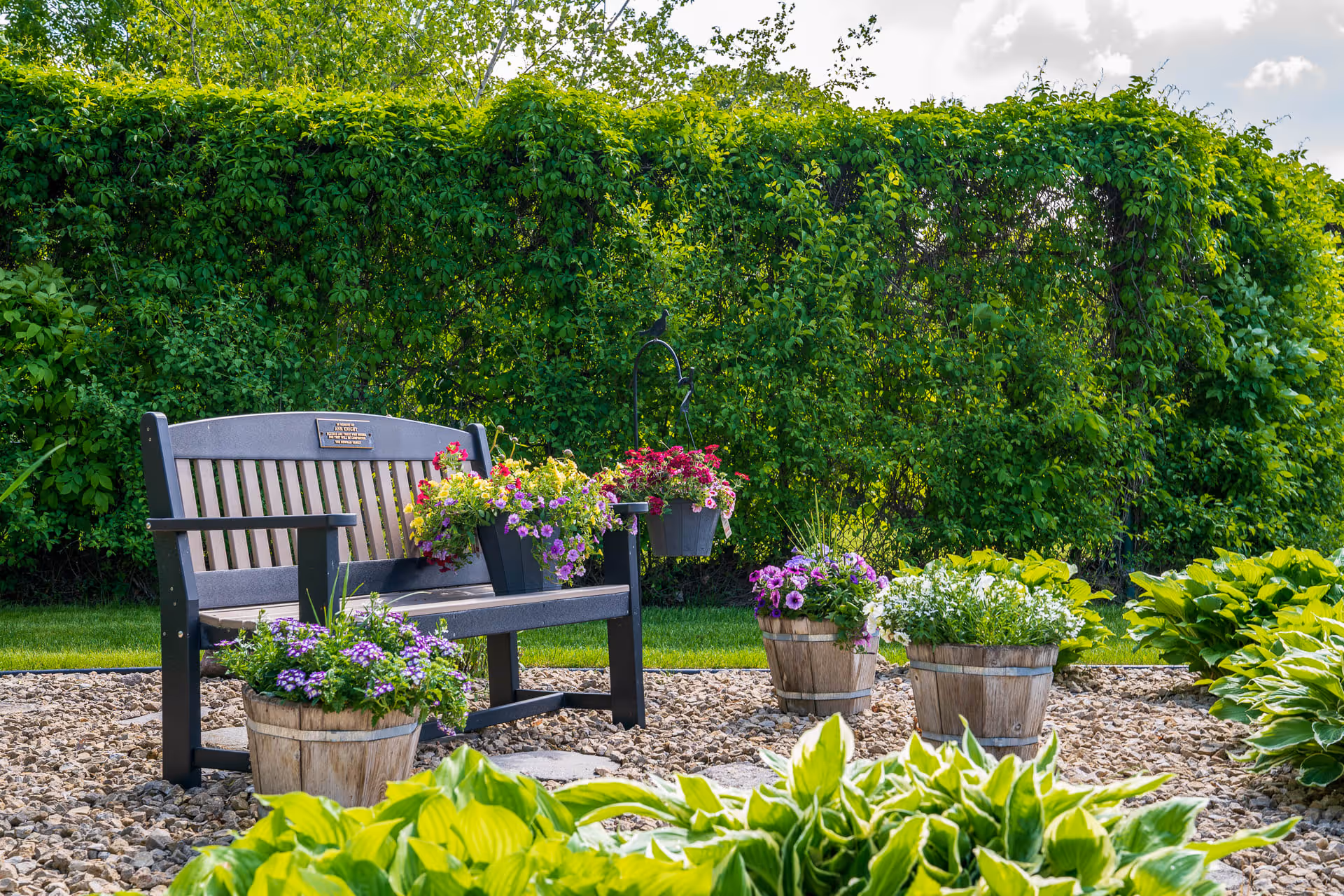 A black wooden bench with a memorial plaque is surrounded by colorful flower pots and lush green plants in a garden area with a gravel ground and a tall green hedge in the background under a partly cloudy sky.